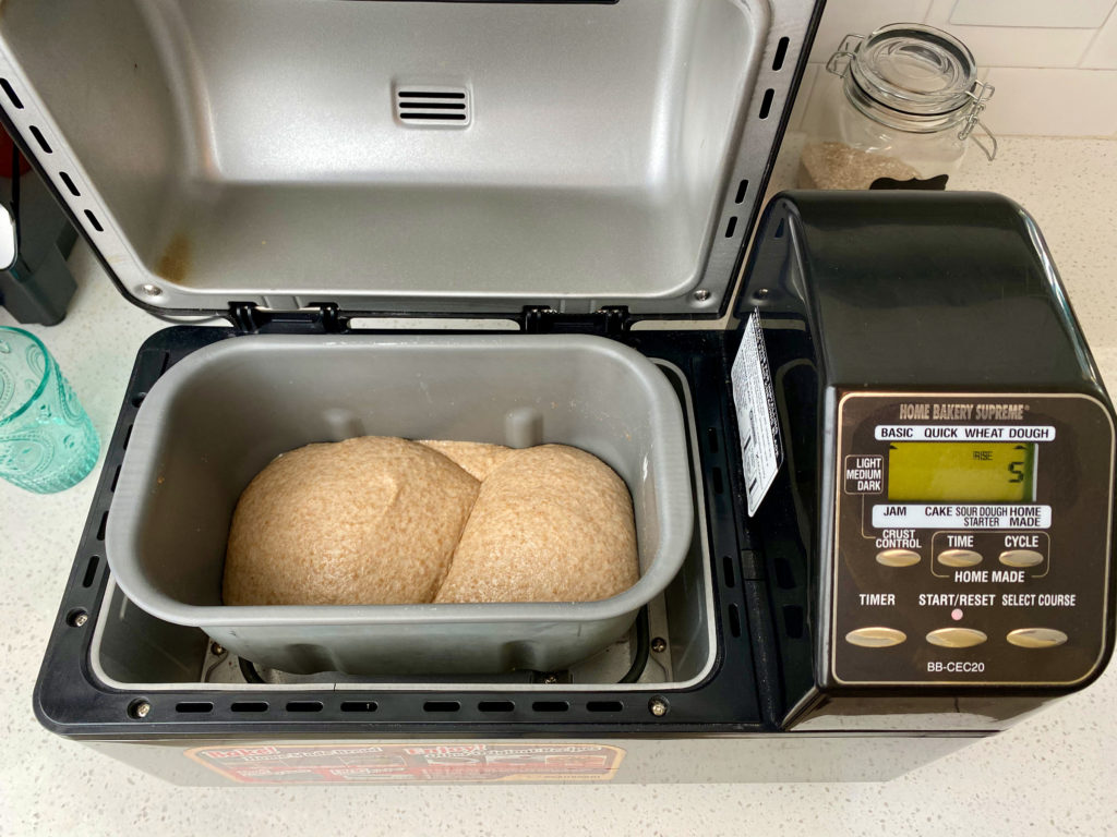 Bread dough rising in bread machine