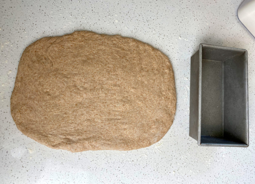 rolled out bread dough