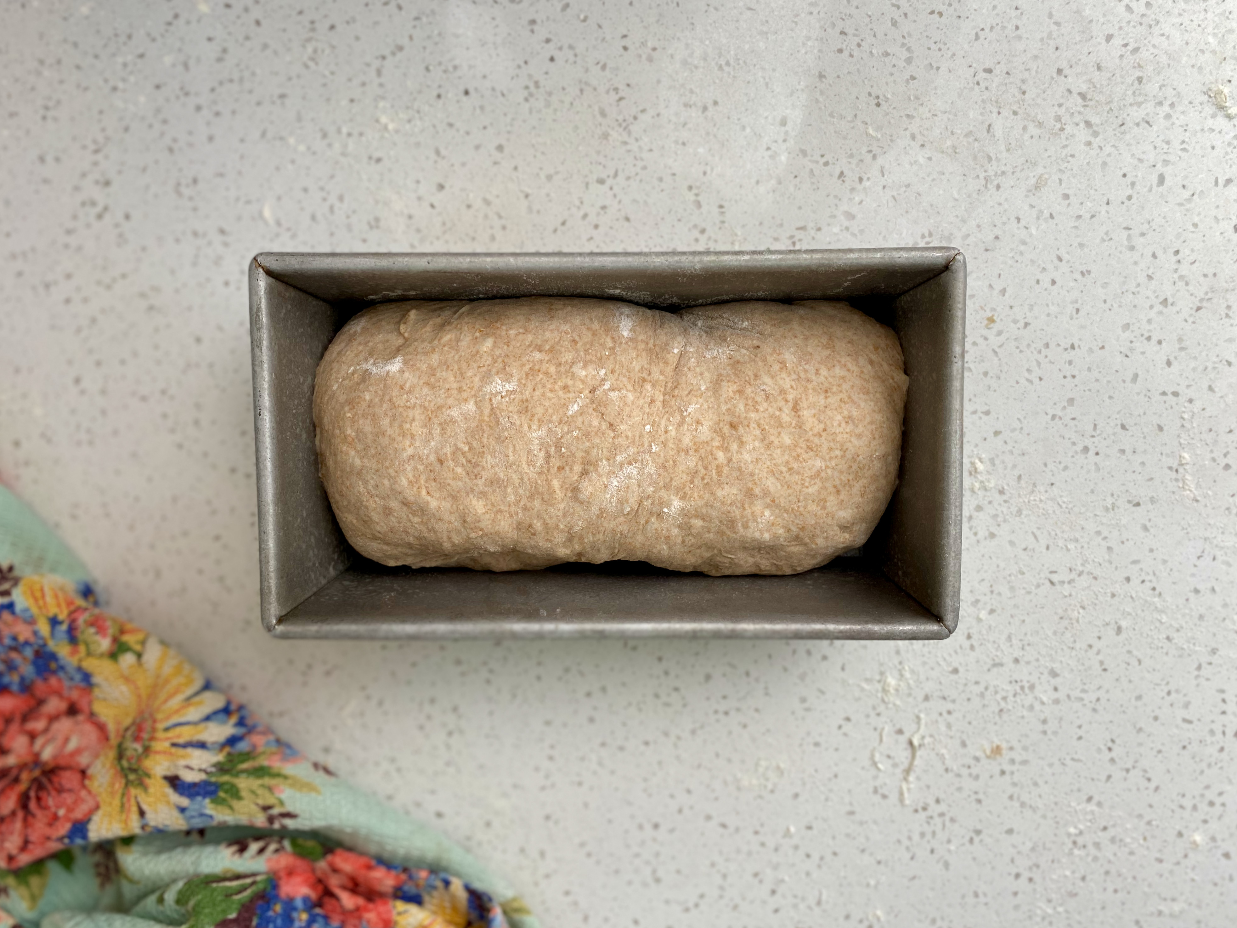 Whole wheat bread dough in loaf pan