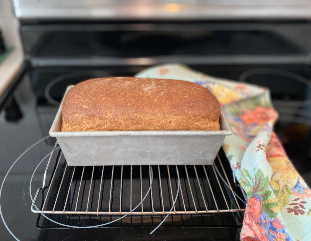 Fresh baked Honey Whole Wheat Bread