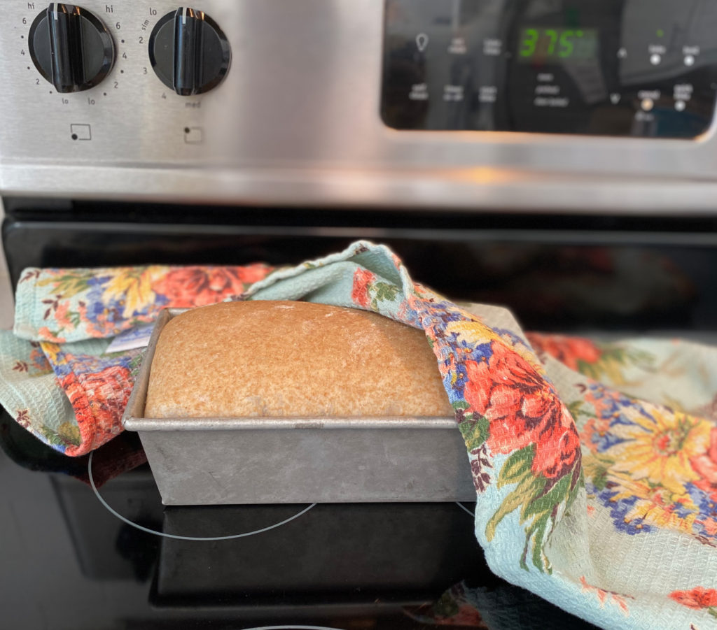 Honey Whole Wheat Bread hs risen in the bread pan